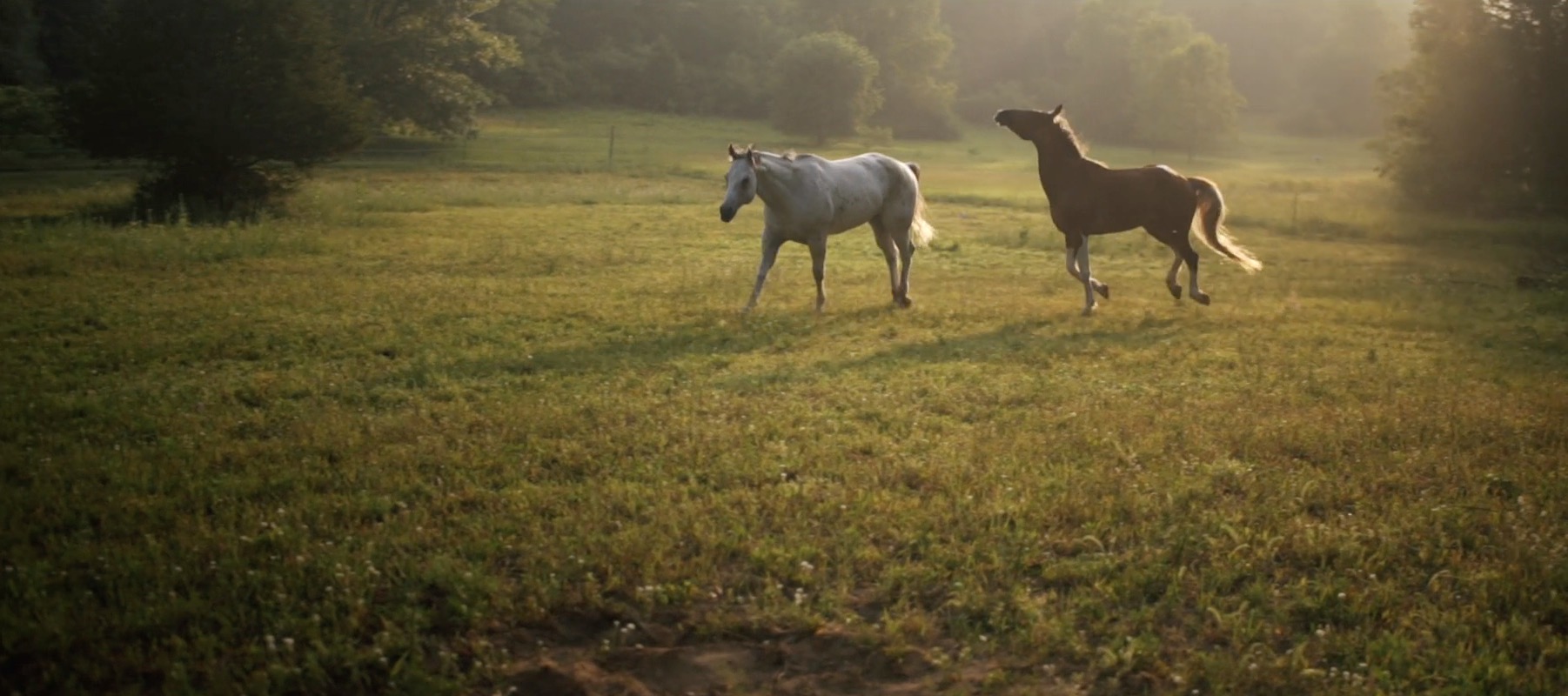 Read more about the article Welcome to the Barn